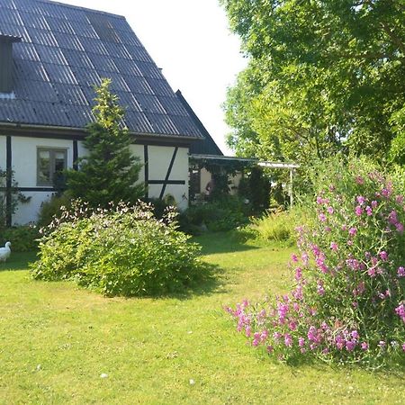 Byens Rareste B&B Harlev  외부 사진