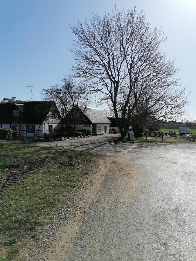 Byens Rareste B&B Harlev  외부 사진
